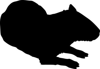 silhouette of capybara illustration.