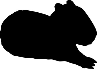 silhouette of capybara illustration.