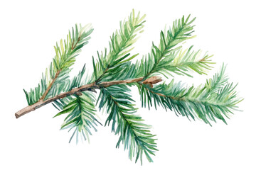 branches of a pine