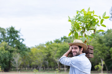 A smiling farmer in a straw hat carries a wooden crate with a young tree sapling on his shoulder....
