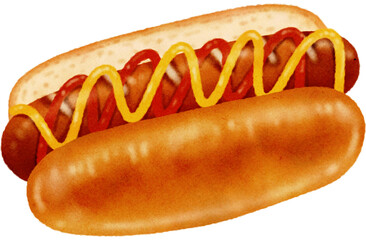 Hot dog with mustard and ketchup watercolor illustration 