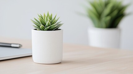 Office desk plant, laptop, pen, minimalist background