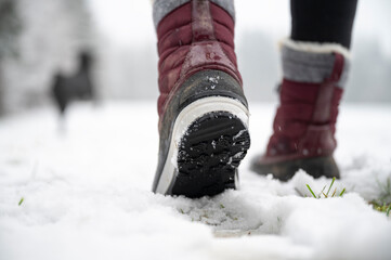 Winter steps in the snow