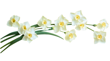 Vibrant Yellow Daffodils in Elegant Floral Arrangement for Spring Decor