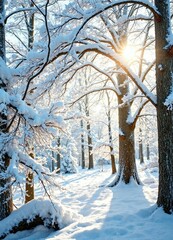 Obraz premium Tree branches and trunks coated with thick layer of snow, glistening in the sunlight, snowfall, frosty branches, tree branch frost