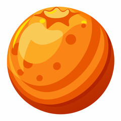 illustration of an orange fruit