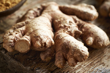 Close up of fresh ginger root