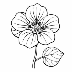 Nasturtium flower illustration in black and white on a simple background