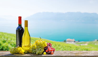 Fototapeta premium A basket filled with various types of grapes and bottles of red and white wine