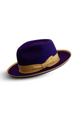 hat isolated