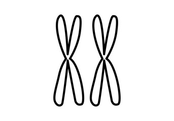 Icono negro de cromosoma equis en fondo blanco