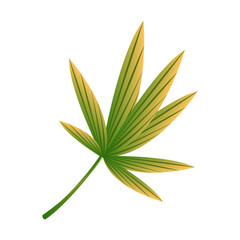 Botanic garden green palnt leaf cartoon illustration image