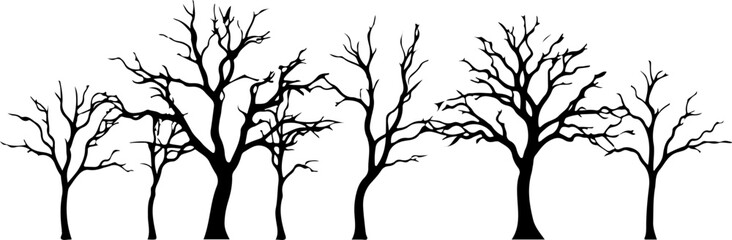 silhouette of a tree