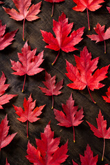 Red maple leaves on black autumn background.