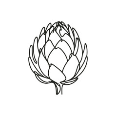 Fototapeta premium Artichoke, vector, black line drawing, minimalistic, single line, simple line, isolated, transparent background