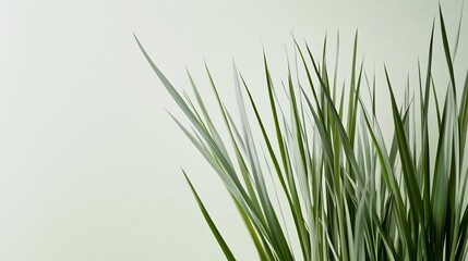Fototapeta premium Elegant Delicate abstract lines mimicking spring grass in fresh green with hints of blush pink buds scattered across a pale yellow gradient 
