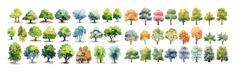 Watercolor tree collection, top view, vector illustration, summer spring trees, hand-drawn, landscape plan, architecture layout, garden, environment, artistic, isolated, nature, greenery