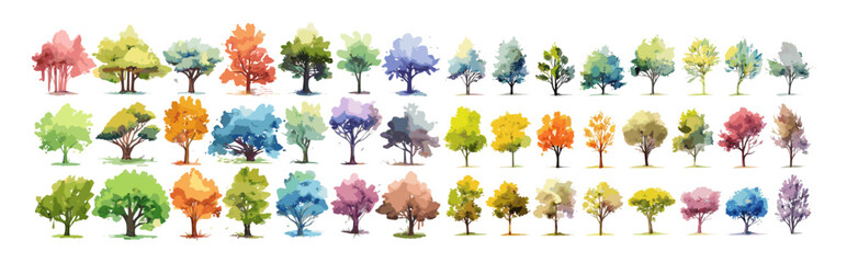 Tree watercolor, summer spring tree collection, vector tree side view, landscape architecture, hand drawn elements, garden layout, tree set watercolor illustration, environment and landscape