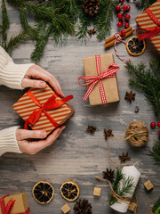 Christmas flat lay. Female hands in a white sweater with red box among spruce twigs, holly berries,...