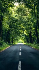 Obraz premium A straight road flanked by tall trees, leading to the horizon in bright daylight 