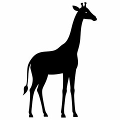 Obraz premium Black Giraffe Silhouette Vector Graphic