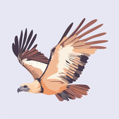 A cute eagle flying vector illustration 