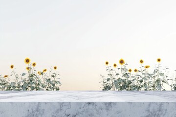 Sunflowers in full bloom against a white background, displayed on a marble surface.