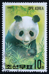 DPRK - CIRCA 1991:Postage stamp. A stamp printed in DPRK shows panda, series, circa 1991