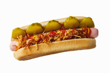 fresh juicy traditional hot dog on a white background