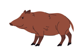 Portrait of wild forest creature, woods animal with tusks. Vector isolated European hog boar or sus scrofa. Domestic or wildlife character, personage from zoo with furry coat and scarry look