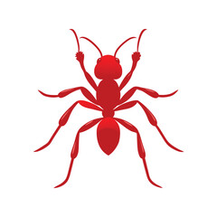 Ant Head Vector Illustration on White Background | High-Quality Insect Clipart