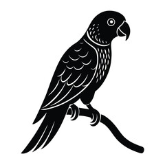 bird on a branch vector illustration