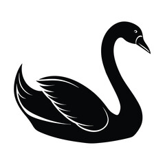 swan vector illustration