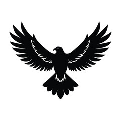 eagle in the sky