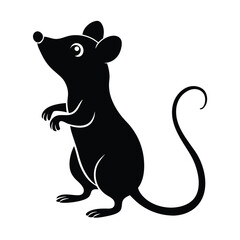 Rat