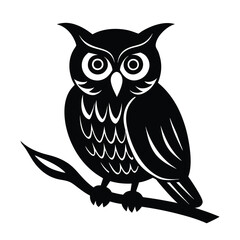 owl sitting on branch