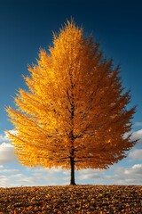 A vibrant yellow autumn tree stands majestically against a clear blue sky, showcasing the beauty of fall foliage and nature's seasonal transformation.