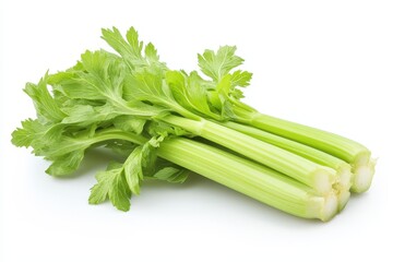 Fresh green celery twig isolated on white background