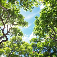 Fototapeta premium Bokeh effect of garden trees against a sunny blue sky, garden, outdoor, sunlight, blurred background, nature
