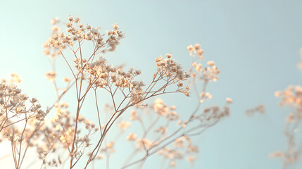 un fondo de cielo azul claro con espacio de copia con ramas de flores peque&ntilde;as y delicadas en color beige en la naturaleza al aire libre flores en la primavera
