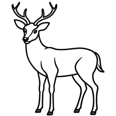 Elegant One-Line Deer Illustration Vector