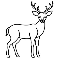 Elegant One-Line Deer Illustration Vector
