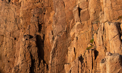 Natural rock formation showcasing unique textures and colors along coastal cliffs. Rock face with intricate textures and hues highlighting geological formations along the coastline during golden hour.
