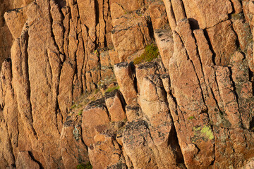 A rocky cliffside exhibits intricate textures and warm hues during golden hour at a coastal area, highlighting nature's beauty and geological formations.