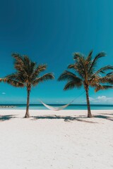 Tranquil Hammock Between Twin Palm Trees on a White Sand Beach