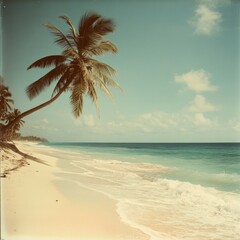 Tranquil sandy beach with azure waves and leaning palm tree under blue sky