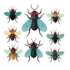 Colorful cartoon flies, vibrant insect illustrations, top-down view, symmetrical composition, red-eyed flies.