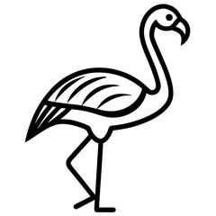 flamingo illustration