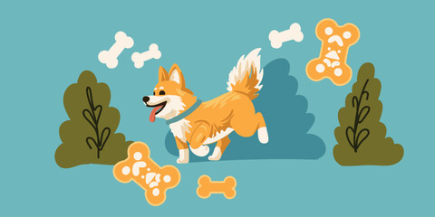  playful dog with a friendly face