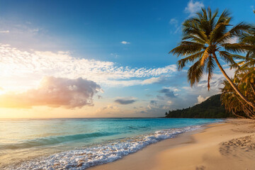 Sandy beach with coconut palm trees in the turquoise sea on Paradise island. Royalty high-quality free best stock of Panoramic sunrise landscape. Inspire tropical seascape horizon, Summer vacation